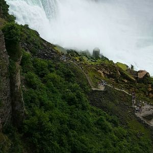 Meet your Posher, Naijeli